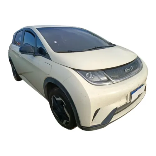 Sucata do Byd Dolphin GS Elétrico 2023 2024 2025