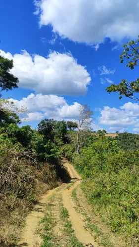 Sítio 2 Tarefas (8.712 m²) em Moenda - Pres. Tancredo Neves/BA com Cacau e Água
