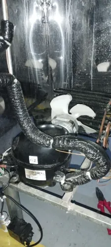 Motor de bebedouro industrial