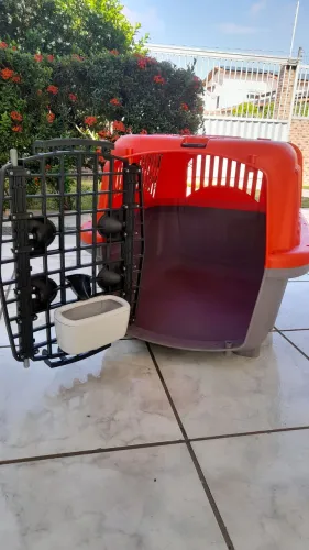 Transporte para cachorro