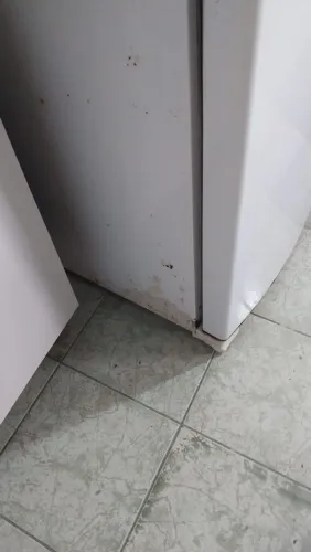 Geladeira seminova