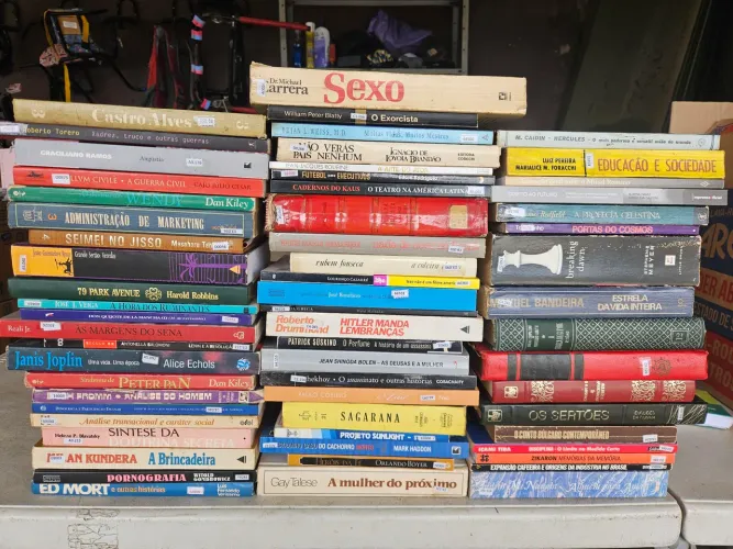 Lote com aproximadamente 70 livros - Literatura, História, Administração e Clássicos