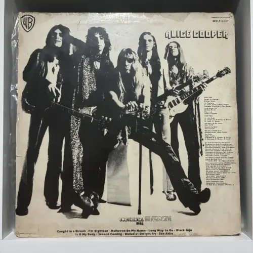 LP Vinil Alice Cooper - Love It To Death (Mídia e Capa G+)