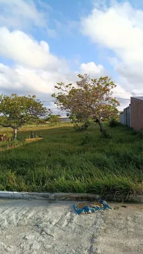 Terreno Rivieira Jacumã
