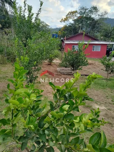 Sítio em Estrada Municipal - Engenho - Miracatu/SP