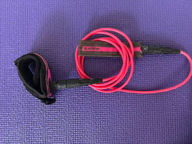 Leash Bullys