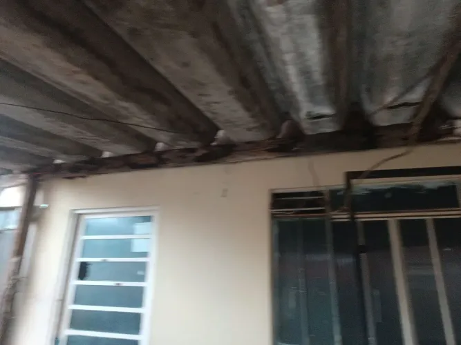 Vendo 15 telhas canaletao com a estrutura