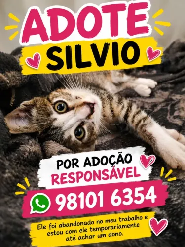Gatinho