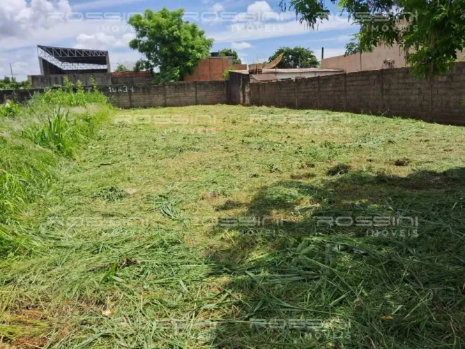 Terreno padrão (rua), Vila Brasil, Ribeirão Preto - SP
