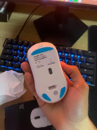 Mouse M348