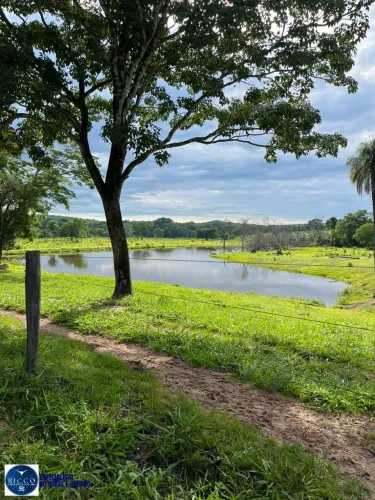 Fazenda à Venda em Crixás  GO | 76 Alqueires | Estruturada para Pecuária