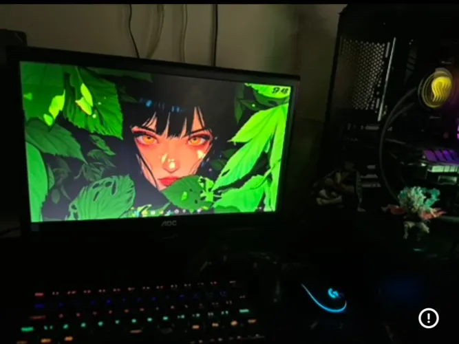 MONITOR 19 polegadas