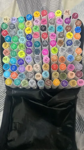 Canetas chen rui 100 cores semi novas