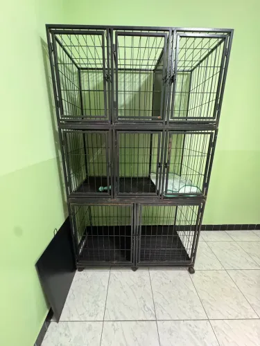 Canil em aço 