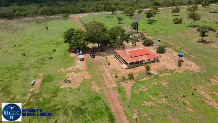 Fazenda à Venda em Araguaçu (TO) 90 Alqueires | Dupla Aptidão