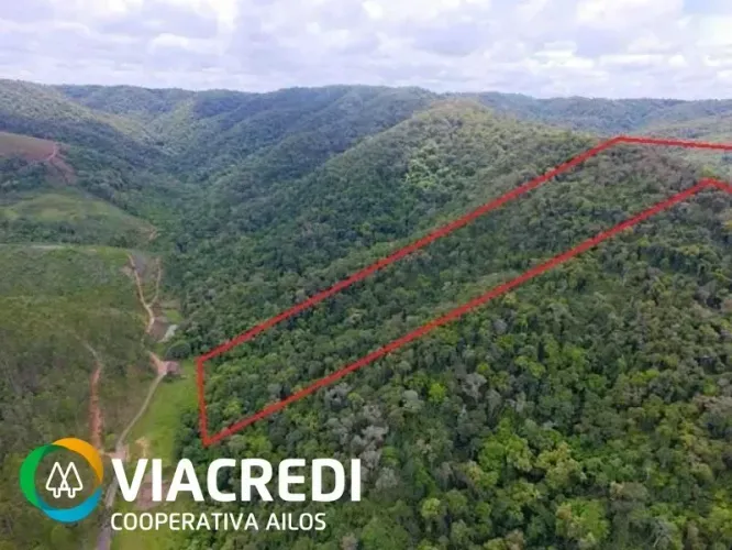 Terreno Rural - Alto Rio Bruno - Vitor Meireles/SC
