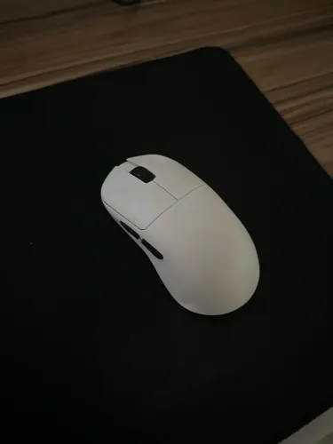 Mouse