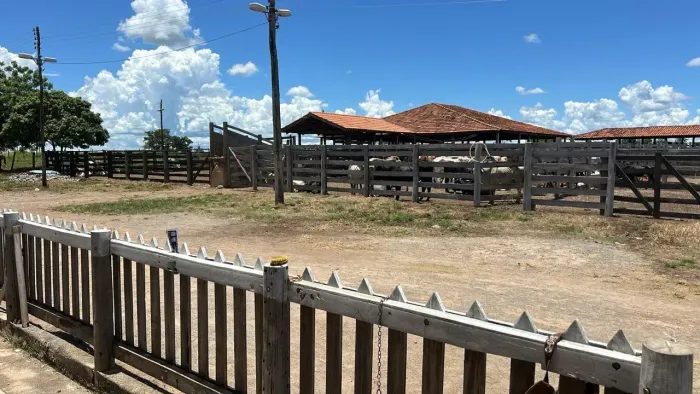 Arrendamento disponível no Goiás para Pecuaria!!!