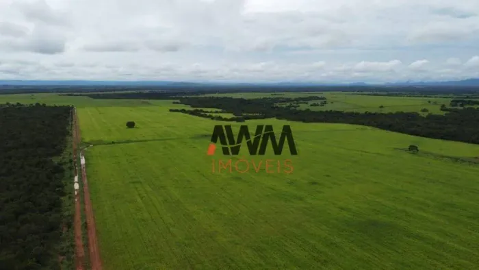 Fazenda à venda, 48400 Hectares por R$ 120.000.000 - Centro - Formosa/GO