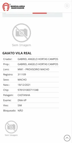 Cavalo manga larga registrado 
