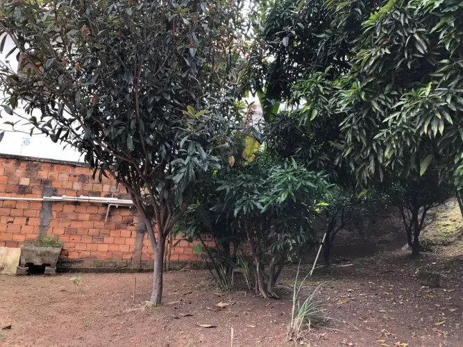 Imóvel para venda tem 372 metros quadrados em Santa Lúcia - Belo Horizonte - MG