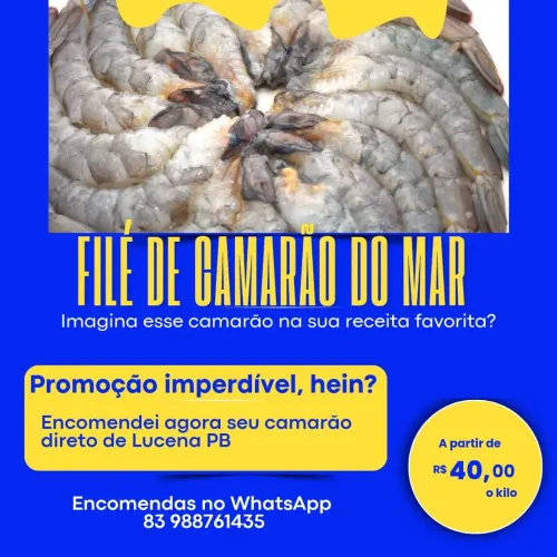 Filé de camarão do mar( espigudo)