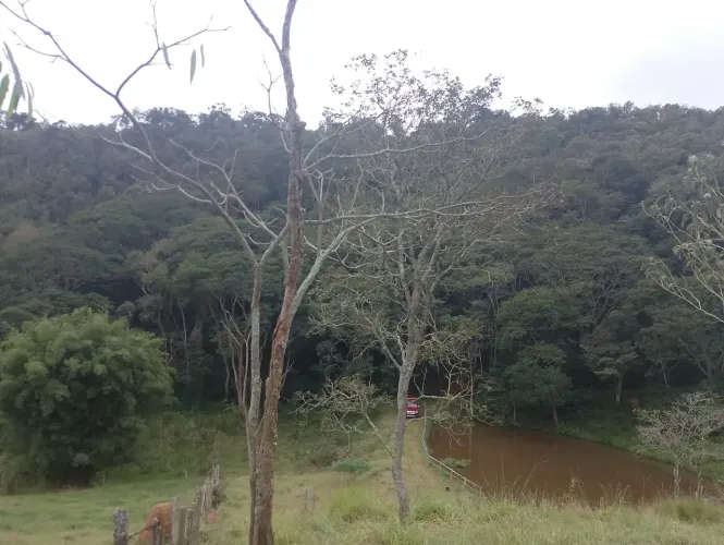 Excelente Área Rural com 2 Alqueires em Redenção da Serra