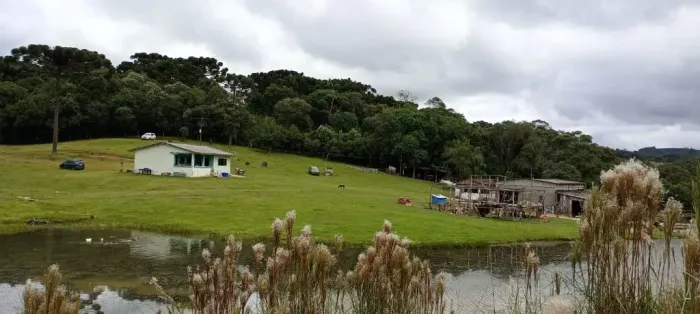 Chácara com 2 dormitórios à venda, 333960 m² por R$ 7.000.000,00 - Areia Branca - Mandirit