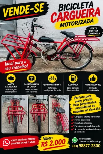Bicicleta Cargueira Motorizada