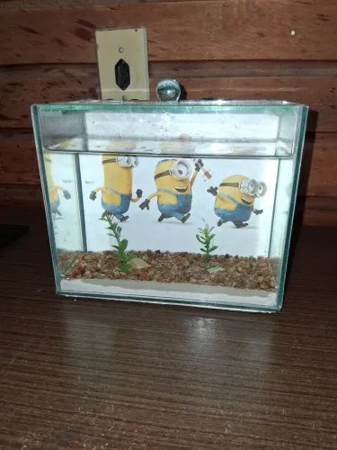 Aquário pequeno 20×17×10cm