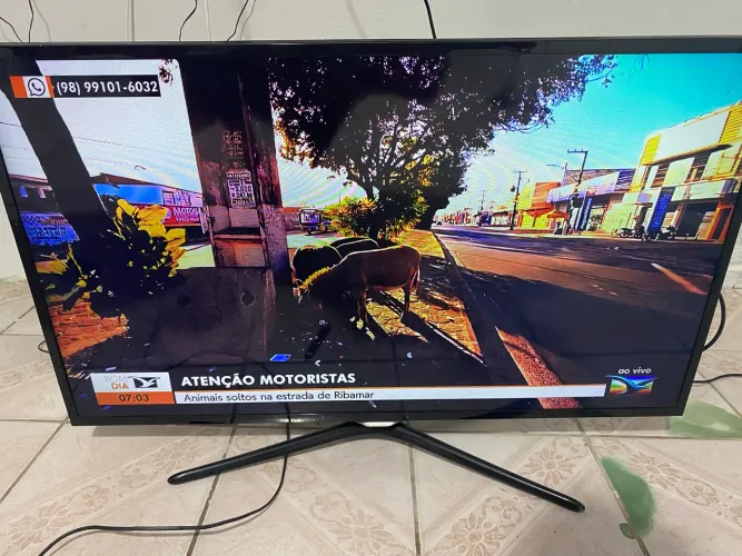Televisão 46?