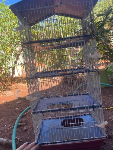 Gaiola Twister rato hamster roedor