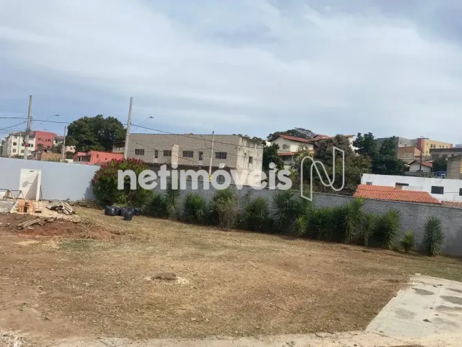 Terreno plano de 1.158,16m²; com projeto aprovado no Santa Amélia - R$1.850.000,00