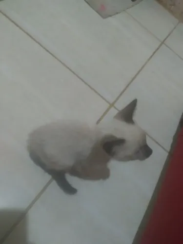 Doação