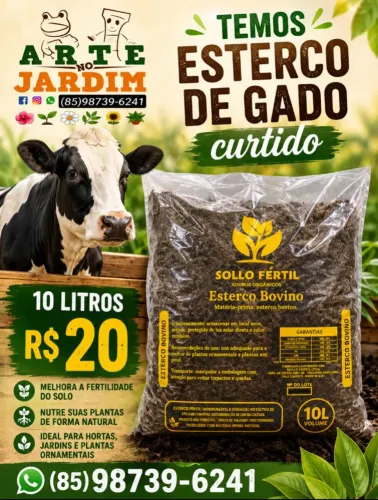 Esterco bovino curtido