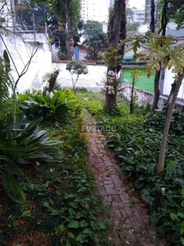 Terreno à venda, 400 m² (8x50) - Jardim - Santo André/SP