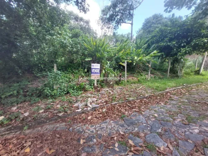 OPORTUNIDADE! Terreno de 800m² em Dois Irmãos Ideal para construir ou investir