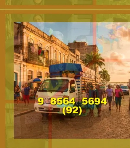 Frete! Seu transporte de cargas com qualidade e segurança! Não perca!