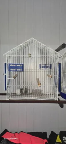 Gaiola para Pássaros