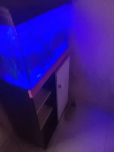 Aquário com armário a venda