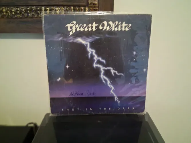 Lp de vinil great wlite