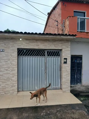 Vendo casa do Paraíso do horto