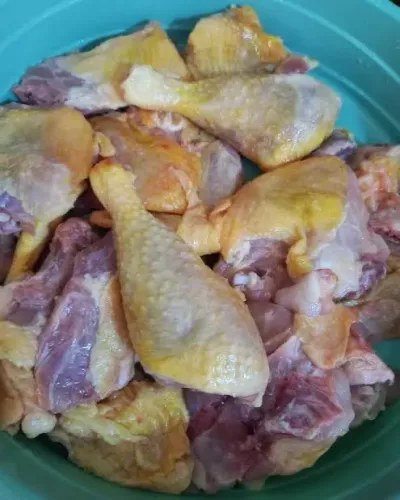 Galinha de capoeira venda 