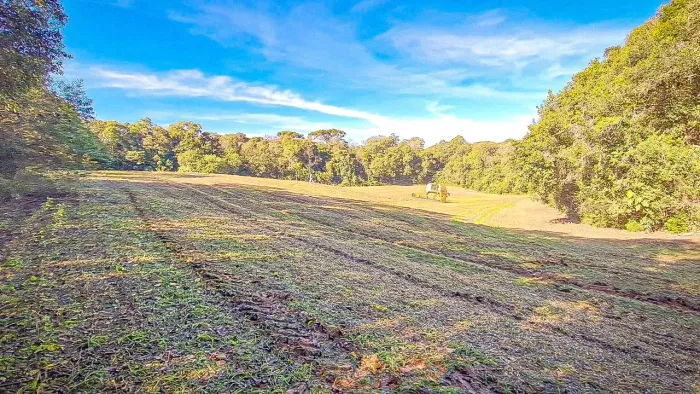 Chacara perto centro Araucária 3km