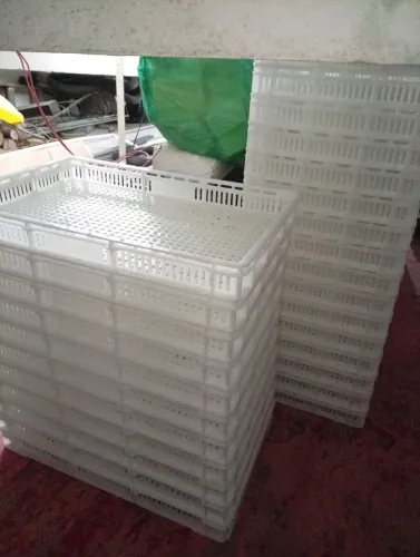 Caixas vazadas 60 X 40 X 6 cm altura para congelamento PEAD virgem natural até -40 graus