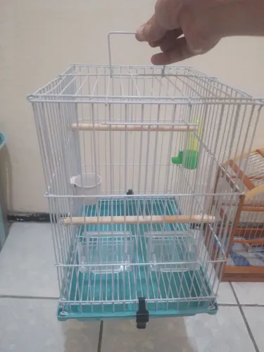 Gaiola Pequena para Periquitos