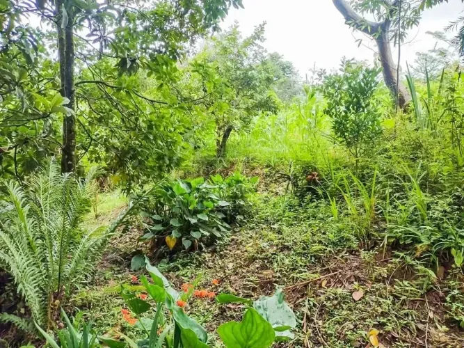 Chácara à venda na Barragem