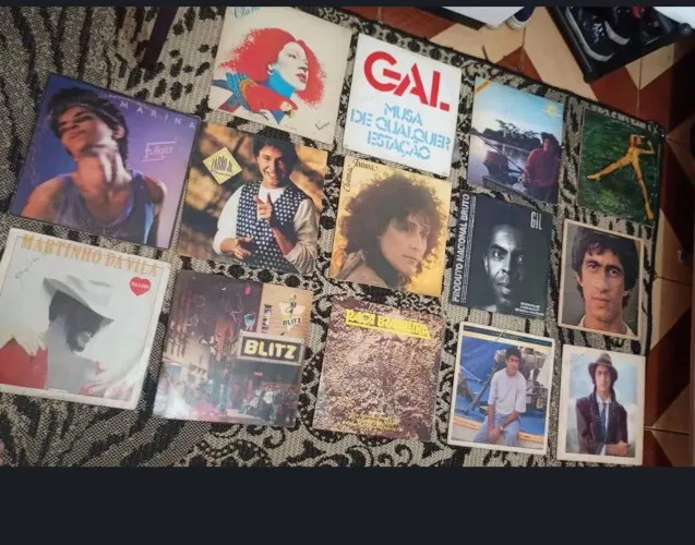 Discos de VINIL perfeitos o lote todo