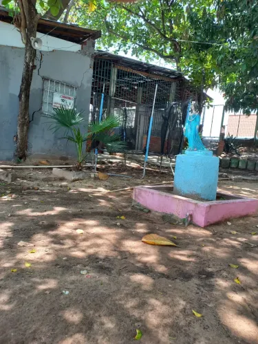 Restaurante venda ou troca