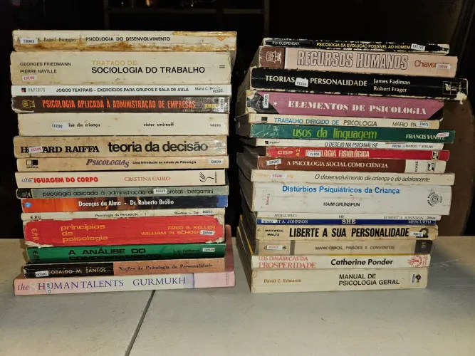 Lote de livros PSICOLOGIA, PSICANÁLISE, SOCIOLOGIA, RECURSOS HUMANOS